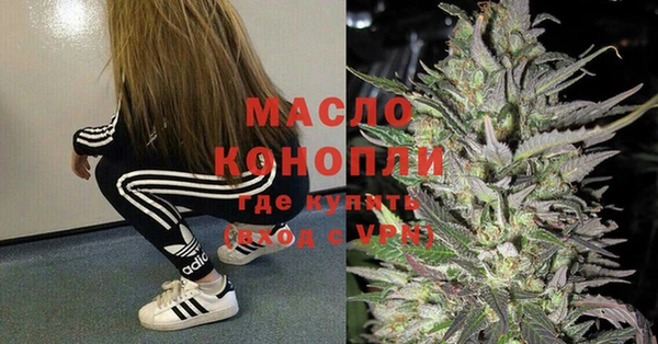 молекула духа Арсеньев