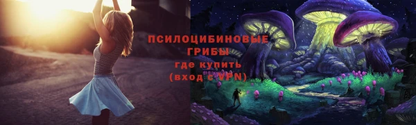 дмт Армянск