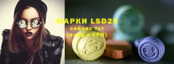 молекула духа Арсеньев