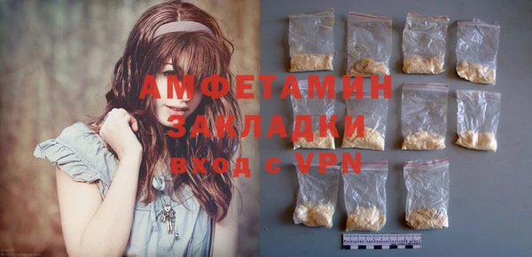 молекула духа Арсеньев