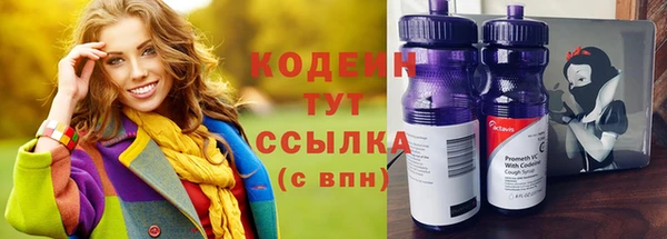 молекула духа Арсеньев